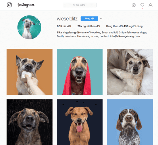 NHỮNG CÁCH KIẾM TIỀN TỪ INSTAGRAM MÀ BẠN CẦN BIẾT NHỮNG CÁCH KIẾM TIỀN TỪ INSTAGRAM MÀ BẠN CẦN BIẾT