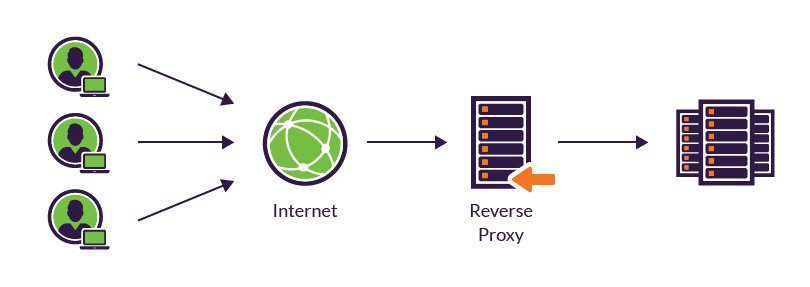 Dịch Vụ Cho Thuê Proxy Việt Nam Rẻ Nhất