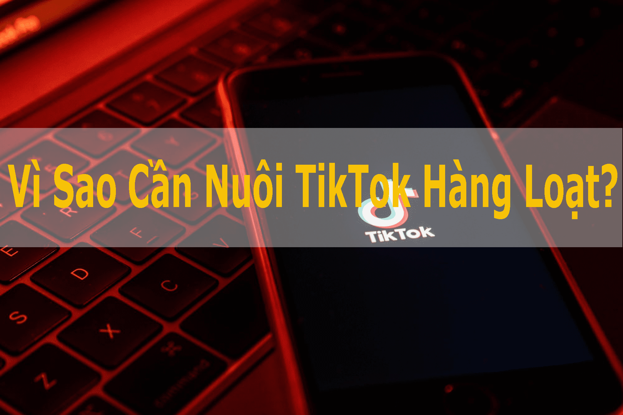 Phần Mềm Nuôi Tiktok