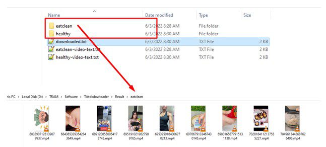 Kết quả video thu thập được - Tool tải video Tiktok