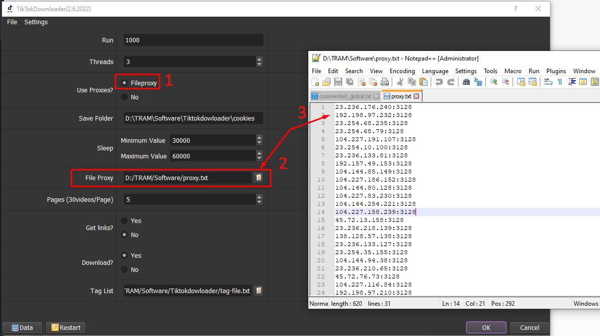 File proxy - Tool tải video Tiktok