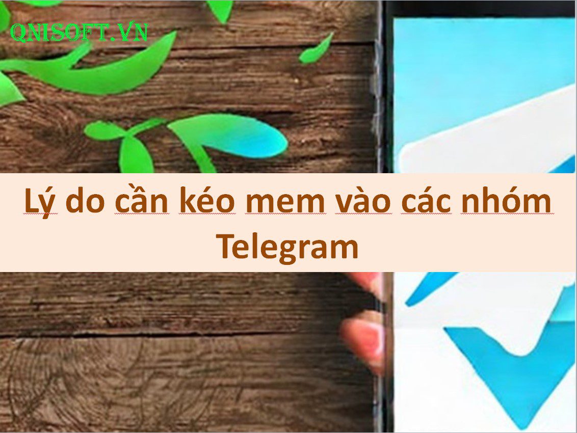 Lý do cần kéo mem vào các nhóm Telegram