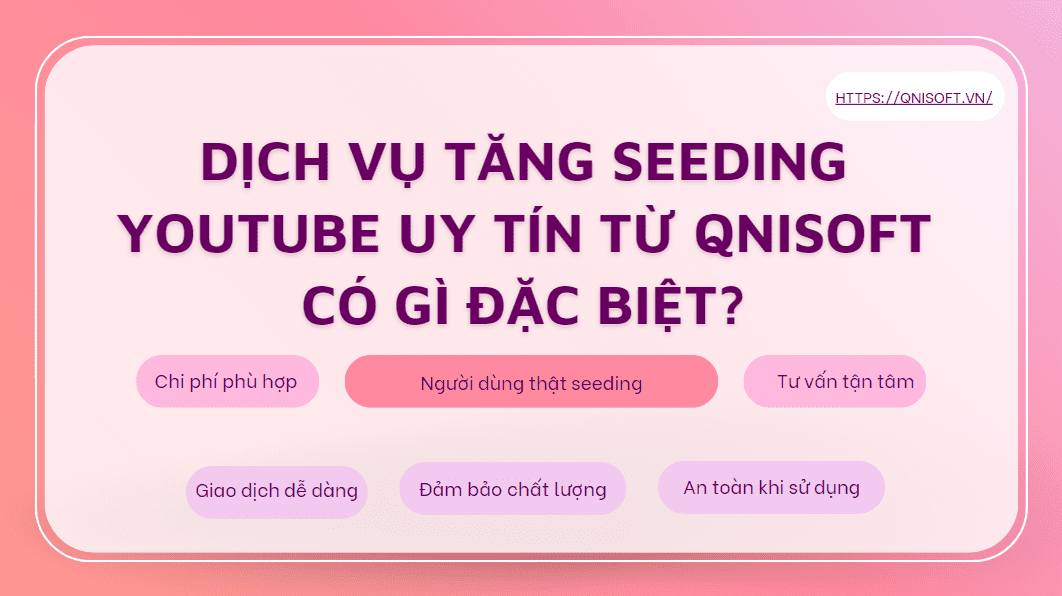 dịch vụ seeding youtube từ qnisoft